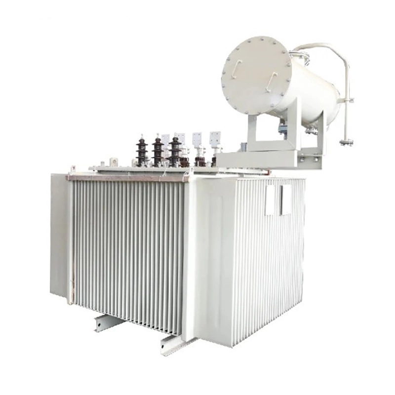 22kv Power Transformer 1000kva Olie nedsænket