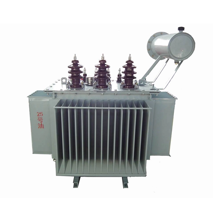 S11 100 Kva 6,3kv 400v Oliefyldt Transformer S11 100 Kva 6,3kv 400v Oliefyldt Transformer